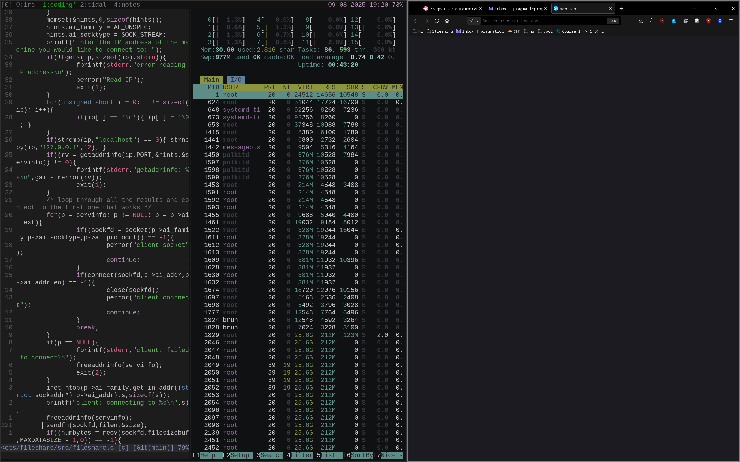 large vim + librewolf (using 2.8gb)