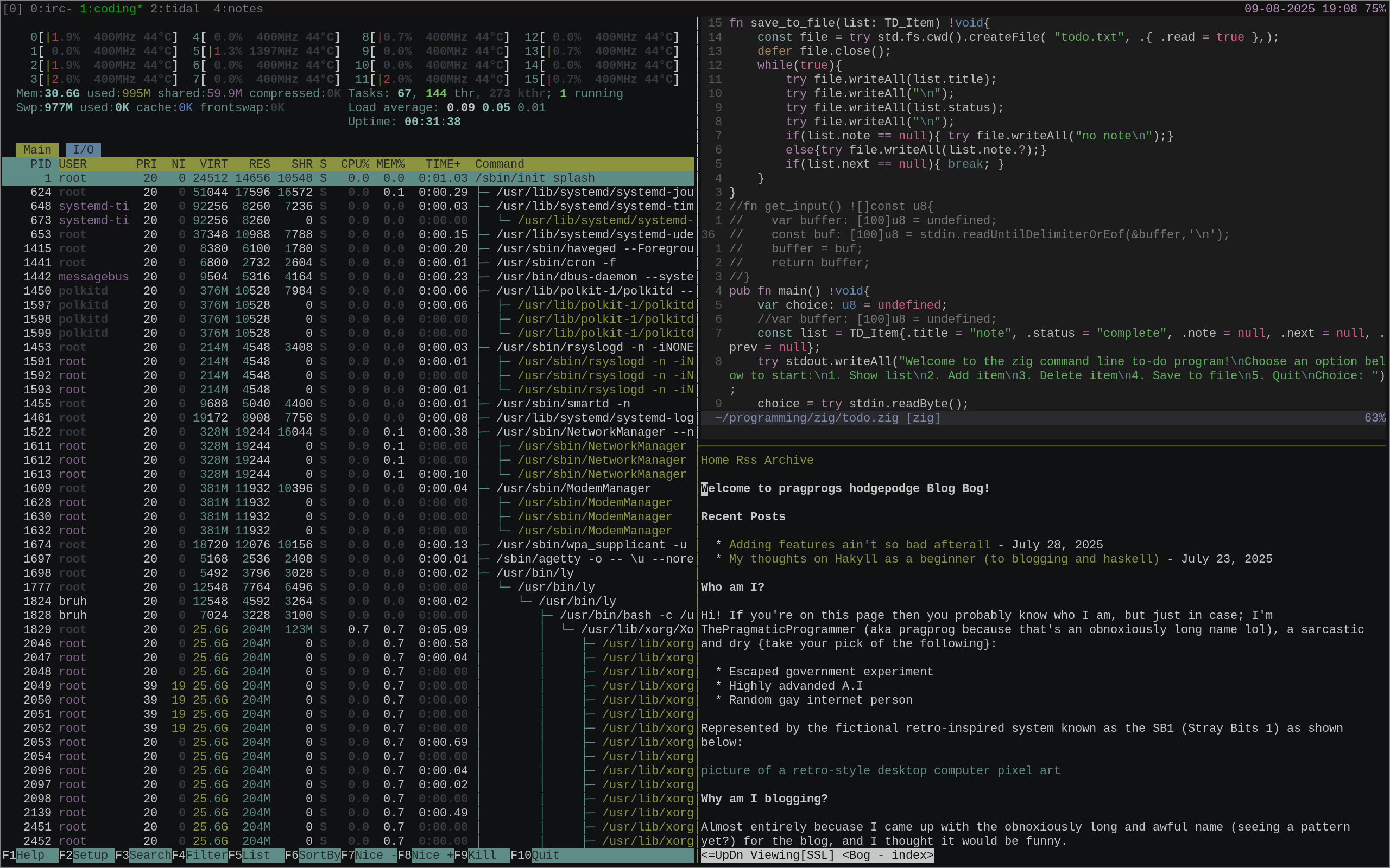 vim and w3m (using 995mb)