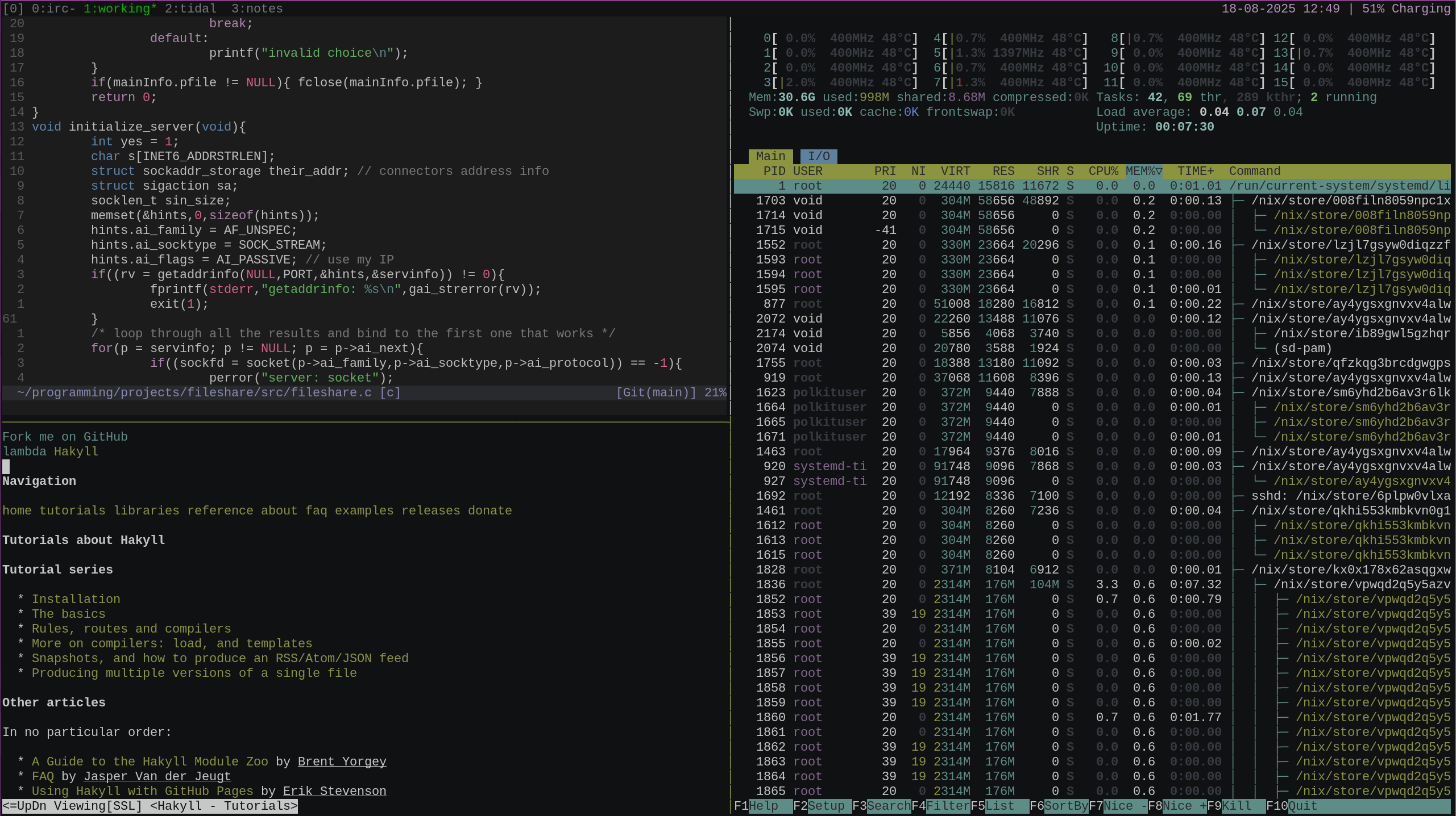 lage vim file with w3m open (using 998mb)