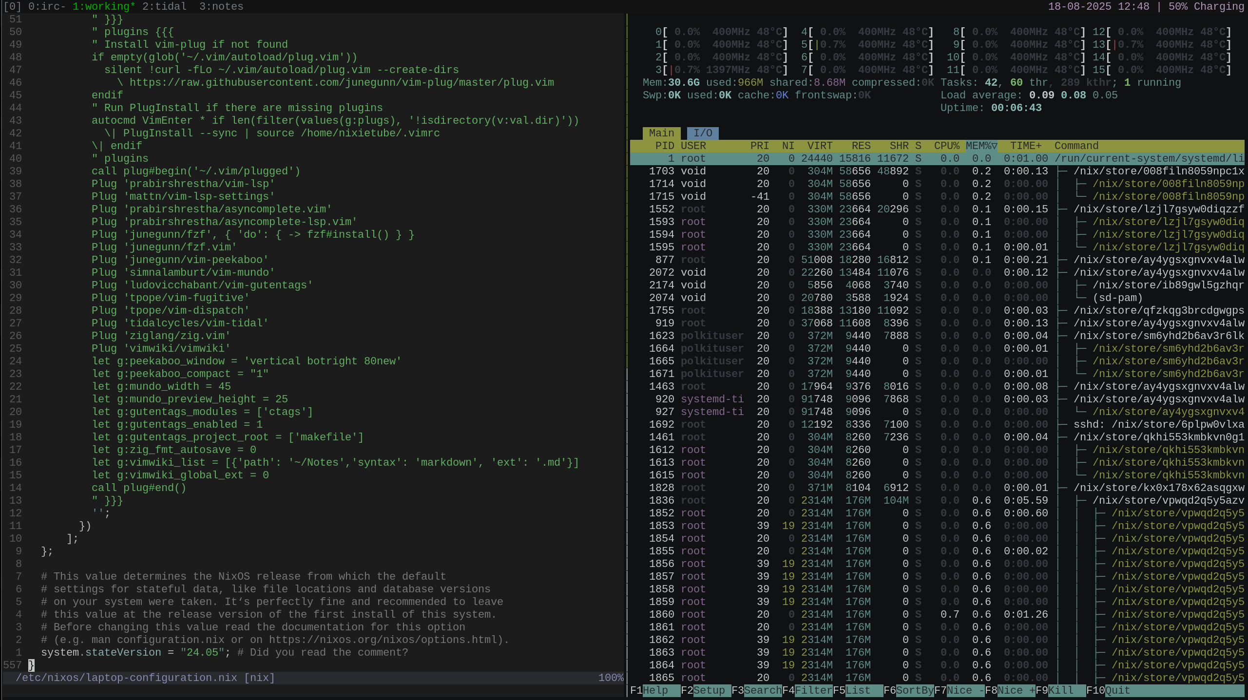 large-ish vim file with no lsp (using 966mb)